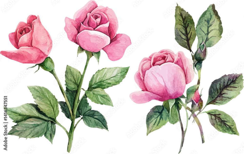 Fototapeta premium bouquet of pink roses