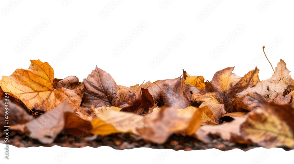 Autumn Leaf Pile: An assortment of vibrant fallen leaves, displaying a beautiful spectrum of autumnal colors, is gently piled together in a natural, close-up arrangement. Autumn Leaf Pile: An assortment of vibrant fallen leaves, displaying a beautiful spectrum of autumnal colors, is gently piled together in a natural, close-up arrangement.