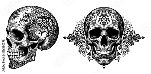 human skull  set. decorative style skulls isolated on white background