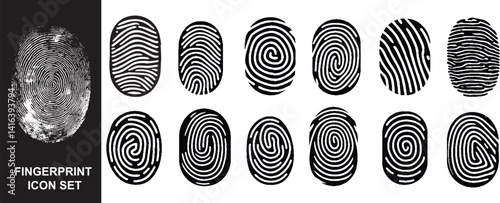 Collection of 12 fingerprints icon.  Fingerprint, biometric, identity icon set. Fingerprints icon set vector isolated 