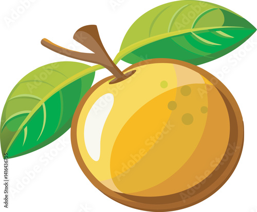 Adobe IllustraA vibrant vector art illustration showcasing delicious marula fruit, featuring rich colors and realistic details perfect for food and nature themes.tor Artwork