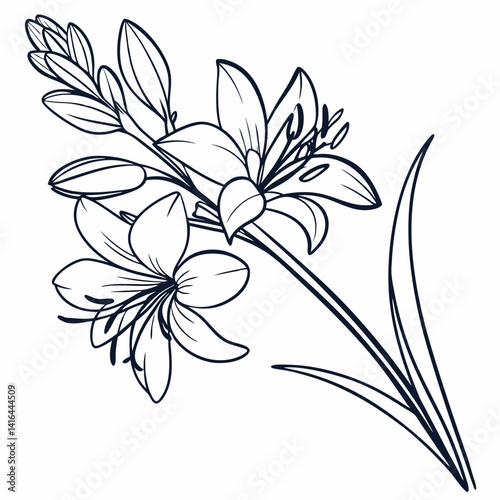vector illustration of flower
