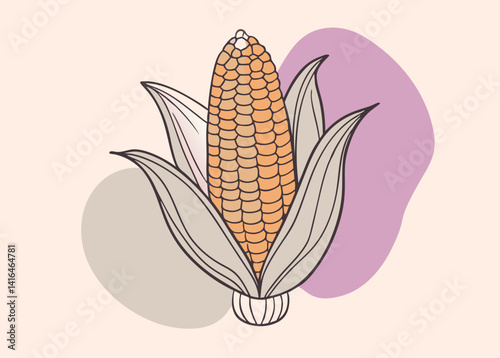 Fresh Corn on the Cob Illustration. Summer Harvest