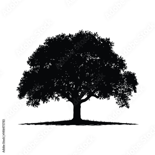 Large oak tree black color on isolated white background