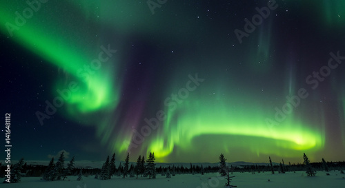 Spectacular Aurora Borealis Dancing Over Snow-Covered Forest In Arctic Night