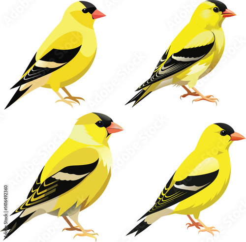 Yellow color vector birds icon 