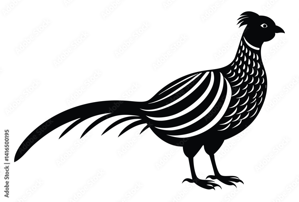 Fototapeta premium golden pheasant silhouette vector isolated on white background