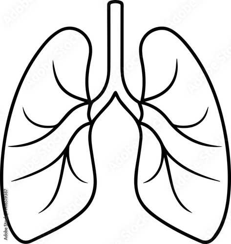 Human lung outline vector illustration