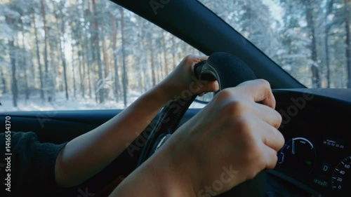 Wallpaper Mural Experience the exhilarating thrill of driving through a beautifully serene snowy forest, showcasing your hands gripping the steering wheel in this enchanting winter wonderland setting Torontodigital.ca