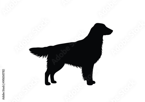 Flat coated retriever silhouette. This image depicts the profile of a flat-coated retriever, also referred to as a loyal companion or hunting dog. Vector clipart black illustration design.