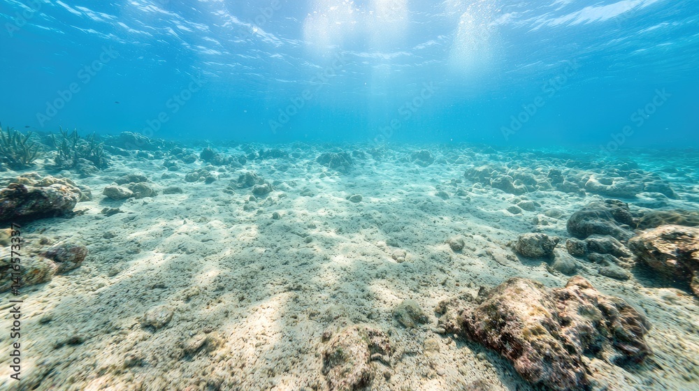 Obraz premium Sunlit underwater scene sandy seabed ocean floor calm aquatic nature