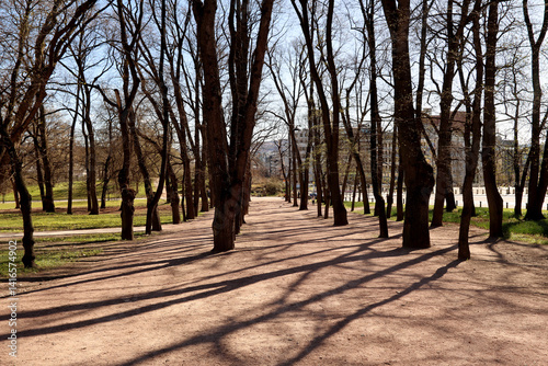 Photography Park