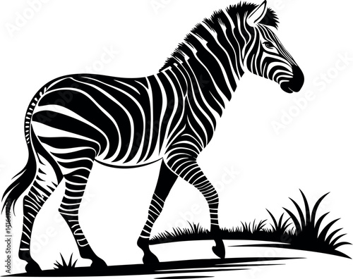 Zebra Silhouette, Elegant Zebra Illustration