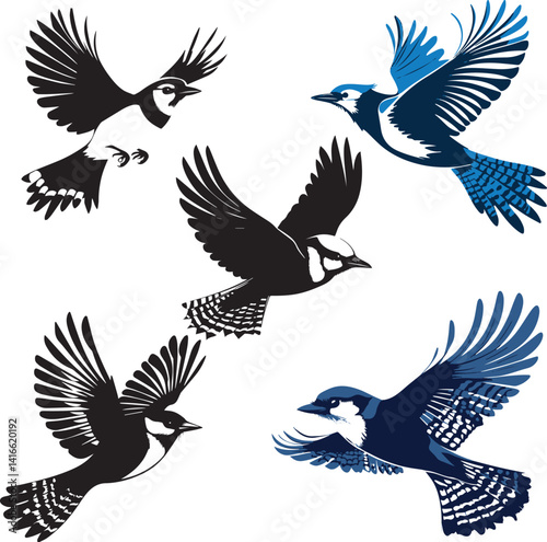 Blue Jay in mid flight silhouette vector