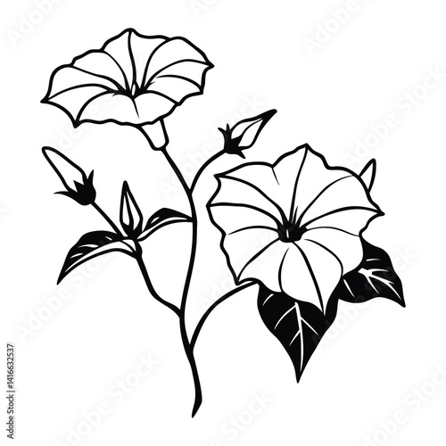 Morning glory line art vector 