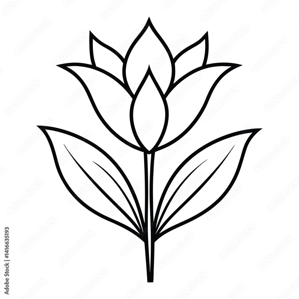 Lily of the nile flower line art vector on white background Lily of the nile flower line art vector on white background