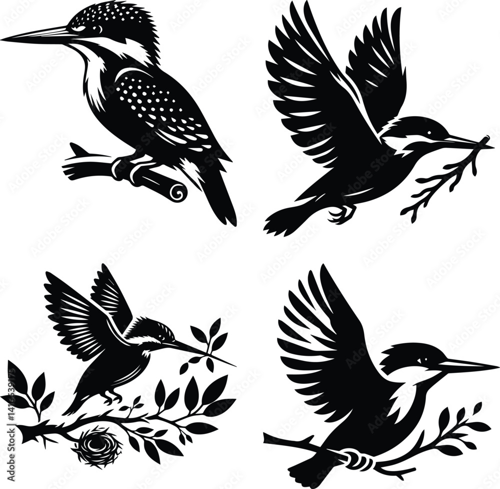Naklejka premium Four Black and White Kingfishers in Various Poses Perched and in Flight