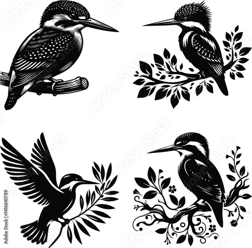 Four Stunning Black and White Kingfisher Bird Illustrations with Floral Designs photo