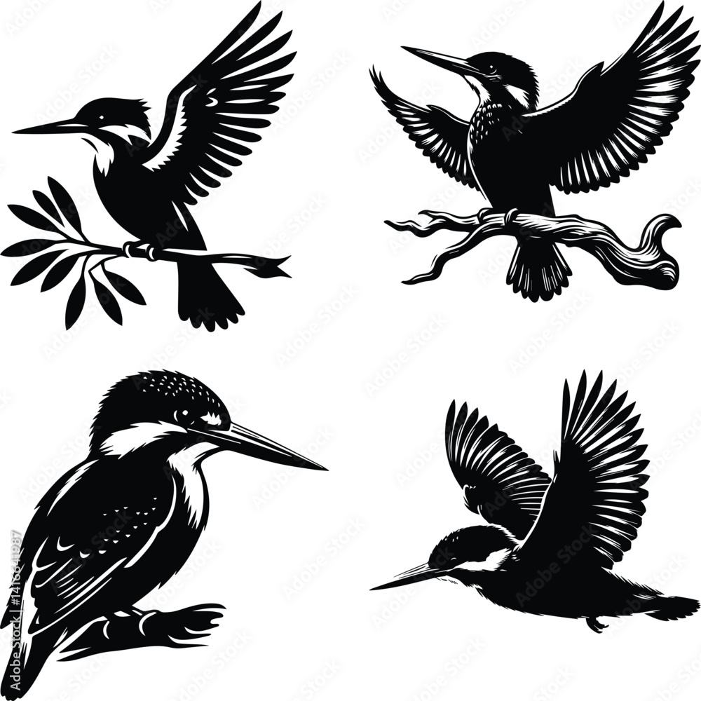 Obraz premium Four Black and White Kingfisher Bird Illustrations in Different Poses