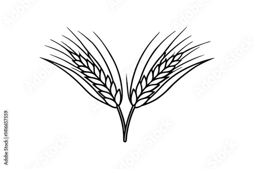 Line art illustration of a barley stalk.eps