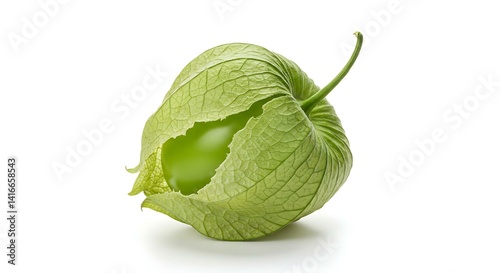 Tomatillo or Mexican husk tomato isolated on white photo