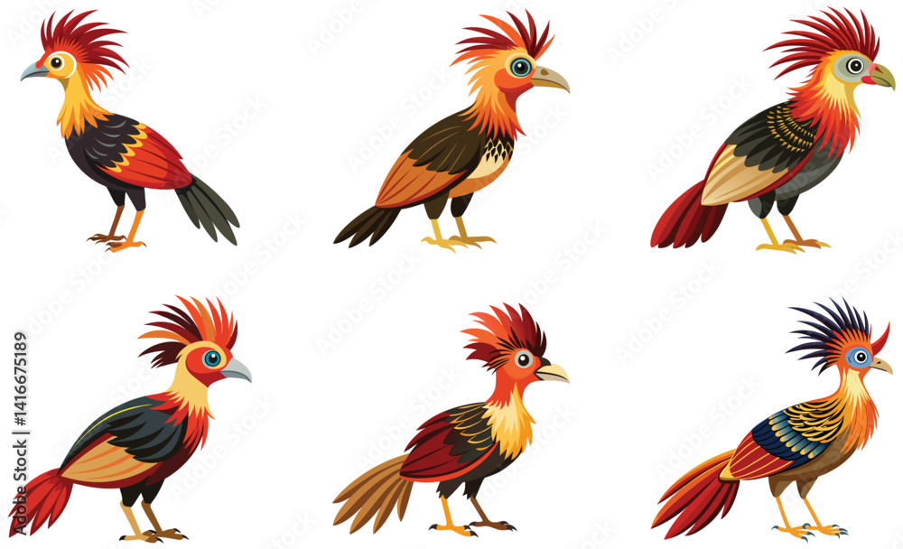 Fototapeta premium Hoatzin bird isolated on white background