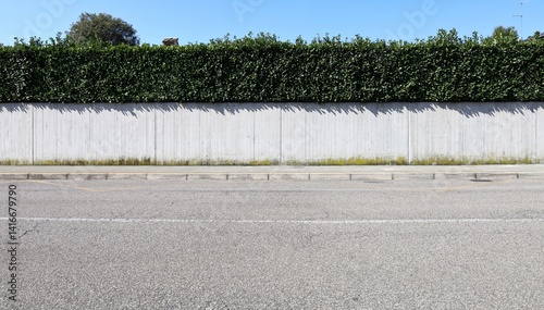 Fototapeta Naklejka Na Ścianę i Meble -  Long and high concrete fence with hedge on top. Cement sidewalk and street in front, sky on behind. Background for copy space