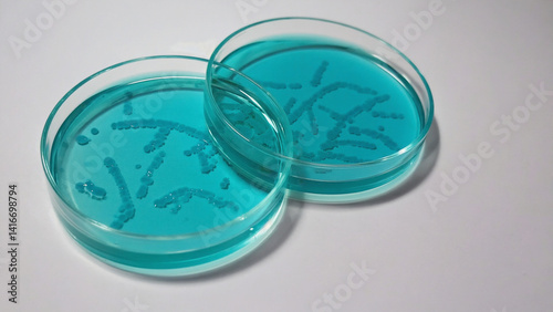 Scientific Petri Dish: A captivating close-up of Petri dishes revealing swirling, bright-colored microbial cultures, a testament to the beauty and complexity of microscopic life.