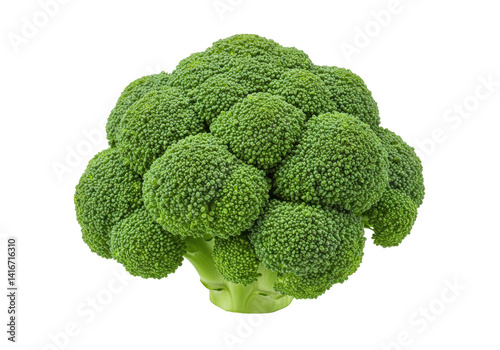 Isolated Lush Green Broccoli Head