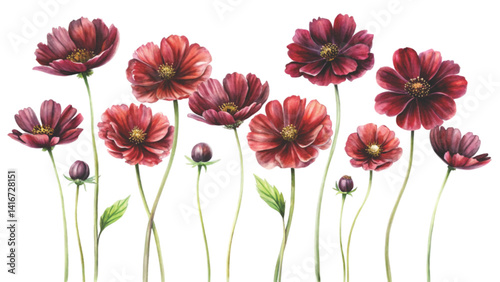 The most beautiful flower is extinct Clipart Watercolor 