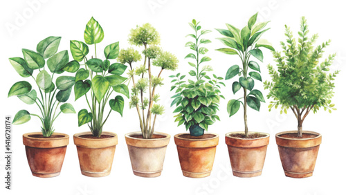 Plant pots lined up The most beautiful flower is extinct Clipart Watercolor 