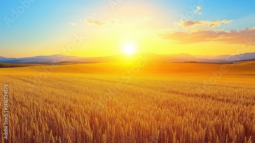 Serene wheat field bathed in the warm golden light of sunset creating a peaceful and picturesque landscape scene