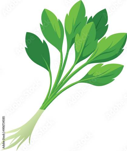 Water spinach