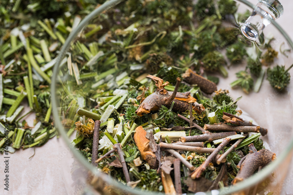Traditional Chinese dried motherwort and mistletoe herb