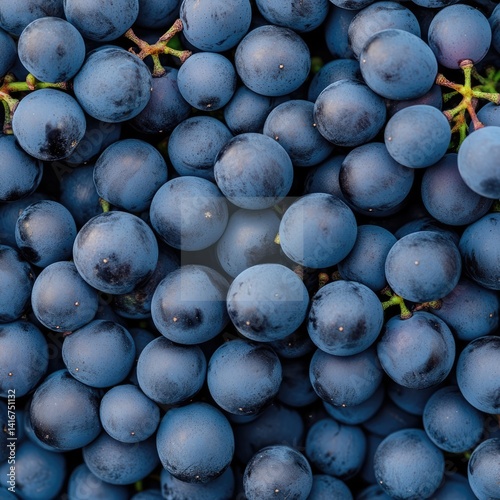 ripe blue grapes suggests abundance and sweetness, perfect for winemaking or enjoying fresh fruits