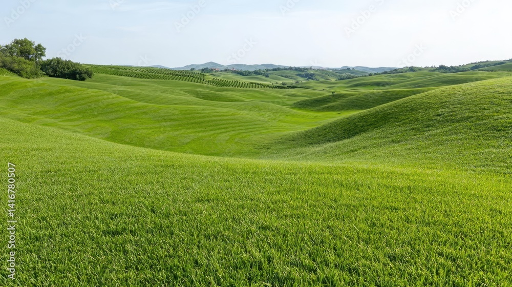 Obraz premium Serene rolling green hills landscape panoramic nature photography