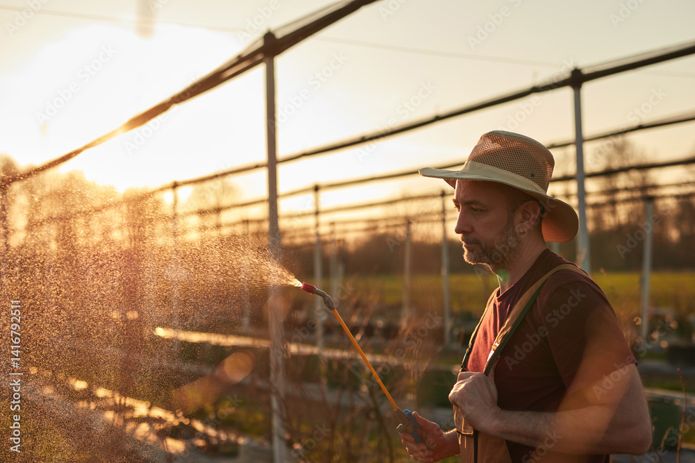 Farmer using pesticide, insecticide and herbicide sprayer sprinkler in an blueberries farm outdoors in springtime, before blooming.