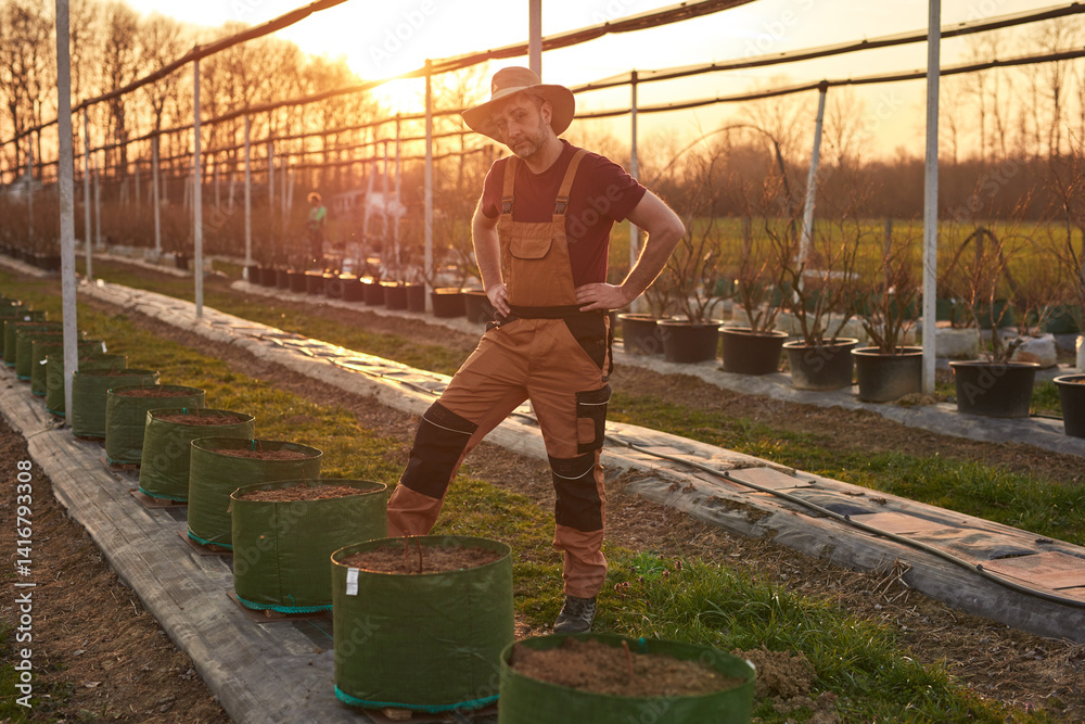 Male gardener with hat working in a blueberries organic farm.