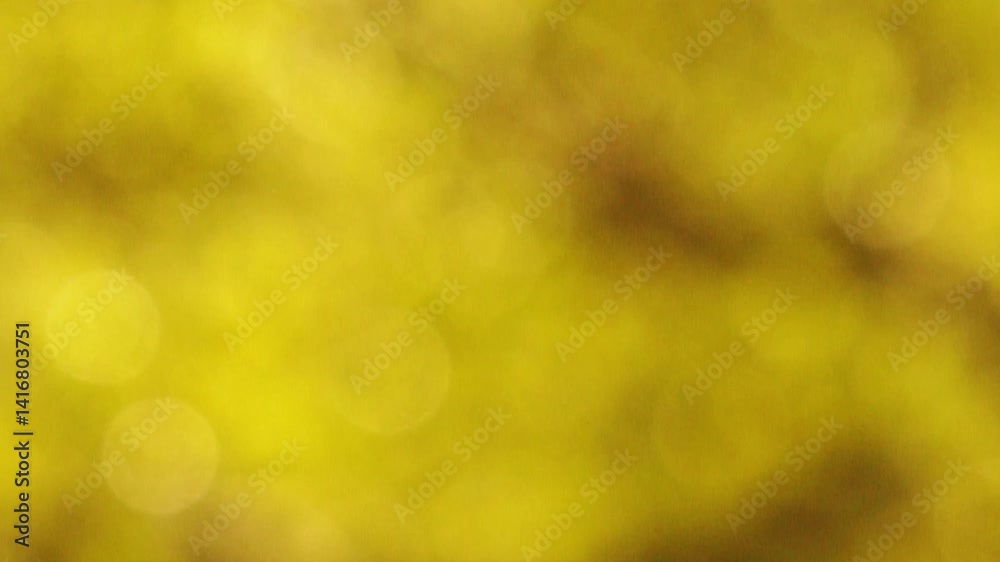 billes de bokeh avec les éléments de la nature se laissant balayer pas le rythme du vent, avec zoom arrière en version courte