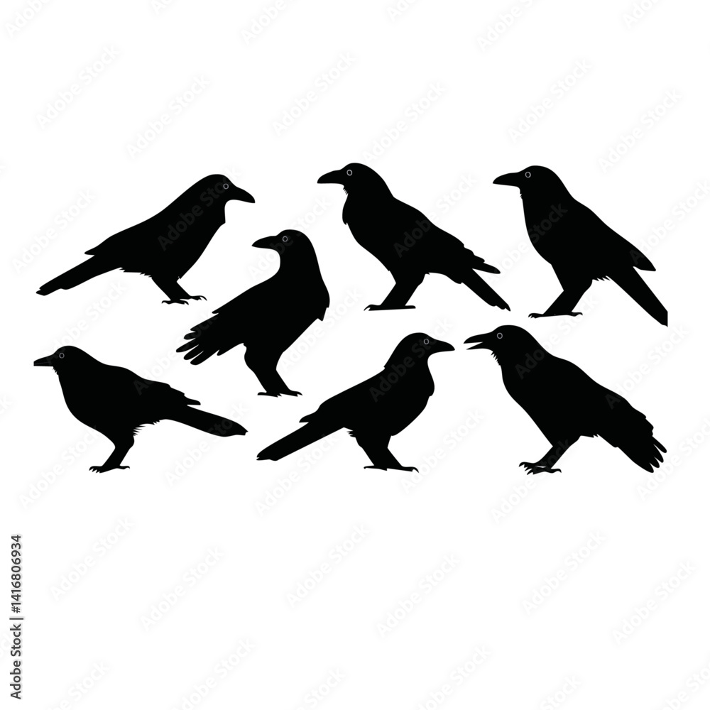 set of crows on a white background vector black graphic design