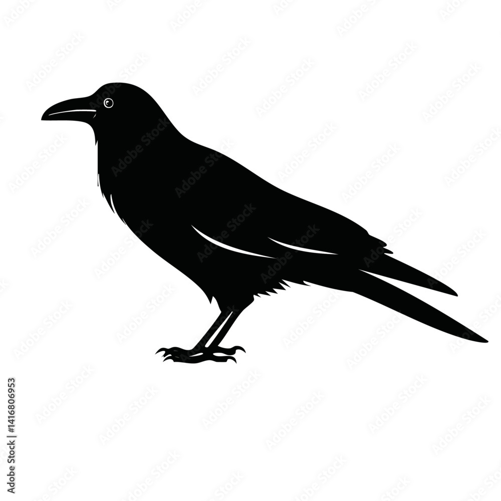 crow on a white background vector black graphic design