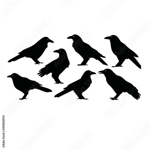 Obraz na płótnie set of crows on a white background vector black graphic design w salonie