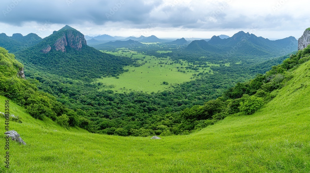 Fototapeta premium Serene green valley panoramic landscape peaceful nature scene