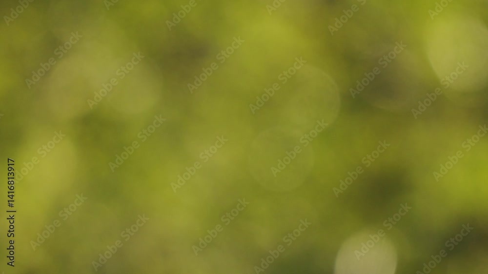arrière plan mouvant avec billes de bokeh vertes, les éléments de la nature se laissant balayer pas le rythme du vent