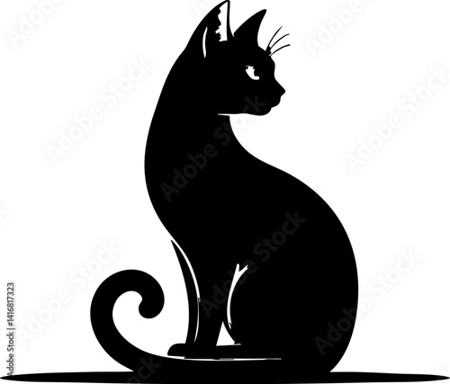 black cat on white