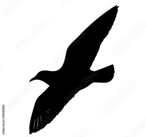 Seagull in Flight: A stark, monochrome silhouette illustration shows a seagull soaring gracefully, wings outstretched against a white background.