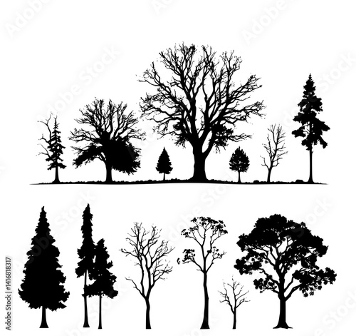 Forest Silhouettes: A stark monochrome illustration depicts a variety of trees, from towering pines to leafless deciduous forms, capturing the essence of a winter woodland.