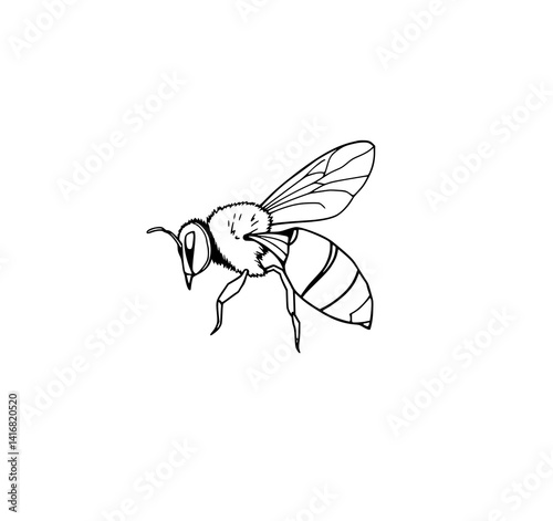 Busy Bee in Flight: A detailed line art illustration depicts a honeybee in mid-flight, showcasing its delicate wings and segmented body with precise lines.