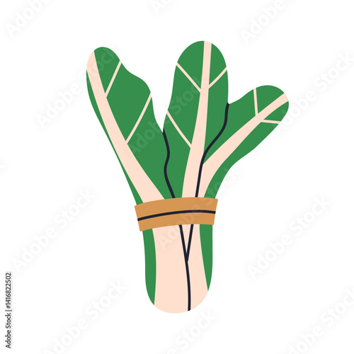 Leafy greens bundle. Leaf vegetable tied by string. Fresh organic farm produce, bok choy leaves. Natural vegetarian food, vitamin nutrition. Flat vector illustration isolated on white background