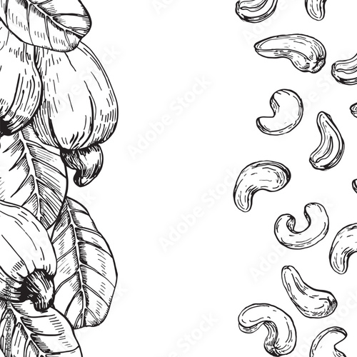 Cashew branch frame with fruits and seeds. Hand drawn ink vector illustrations. Template for label design of vegetarian products, desserts and nuts